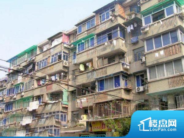 邢台新河最新动态,巷弄深处的独特风味探索