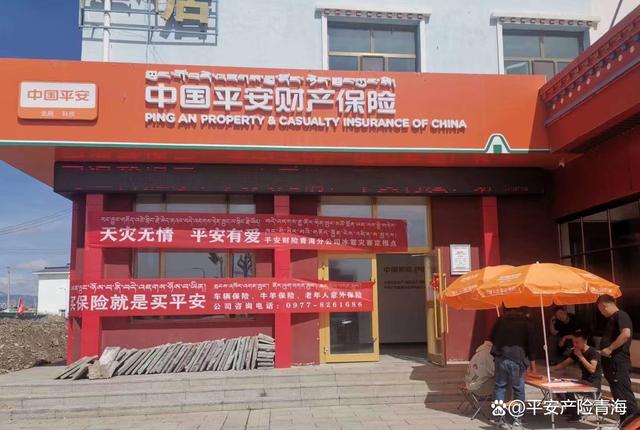 青海平安最新动态更新,最新消息汇总
