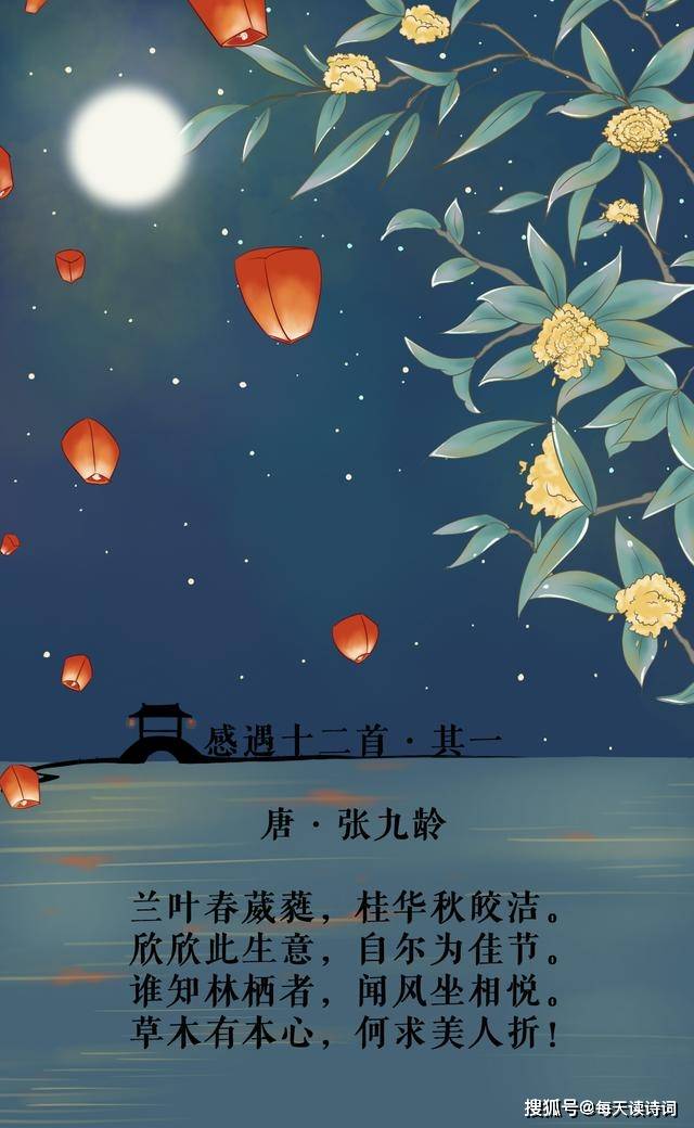 追更唐诗之旅，诗意夜晚的魅力与薄夜唐诗最新章节