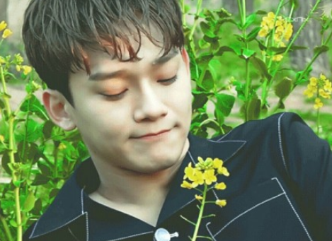 灿哥最新动态,心灵与自然的奇妙之旅