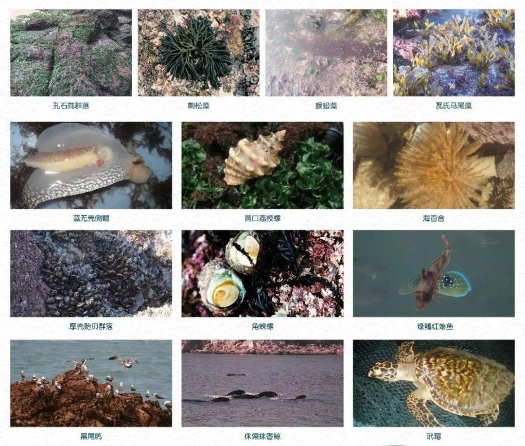 商丘LED显示屏维修 第306页