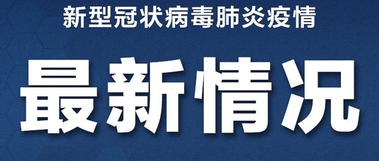 新型冠状炎疫情最新通报更新，疫情动态与防控进展报告