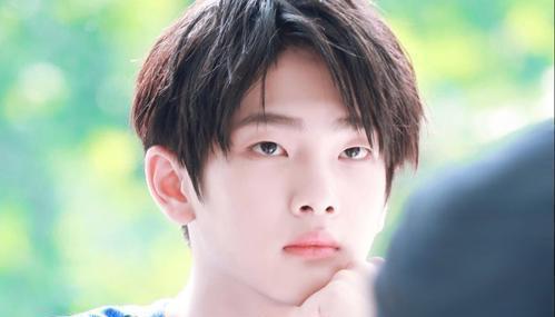 周震南最新发声,解读其立场与态度