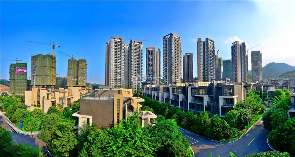 蒙城县最新楼市动态,变化中的机遇,激发自信与成就感