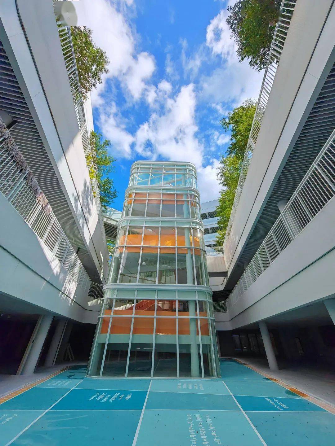 深圳深高南学位最新动态，小南的校园探险之旅