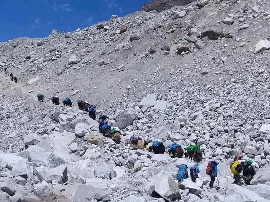 中国入境最新隔离规定，心灵平静之旅的探险启程