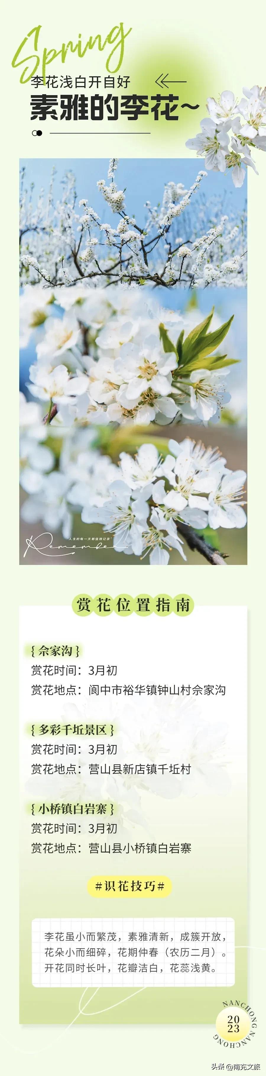 南充最新动态，全面指南教你如何获取最新消息资讯