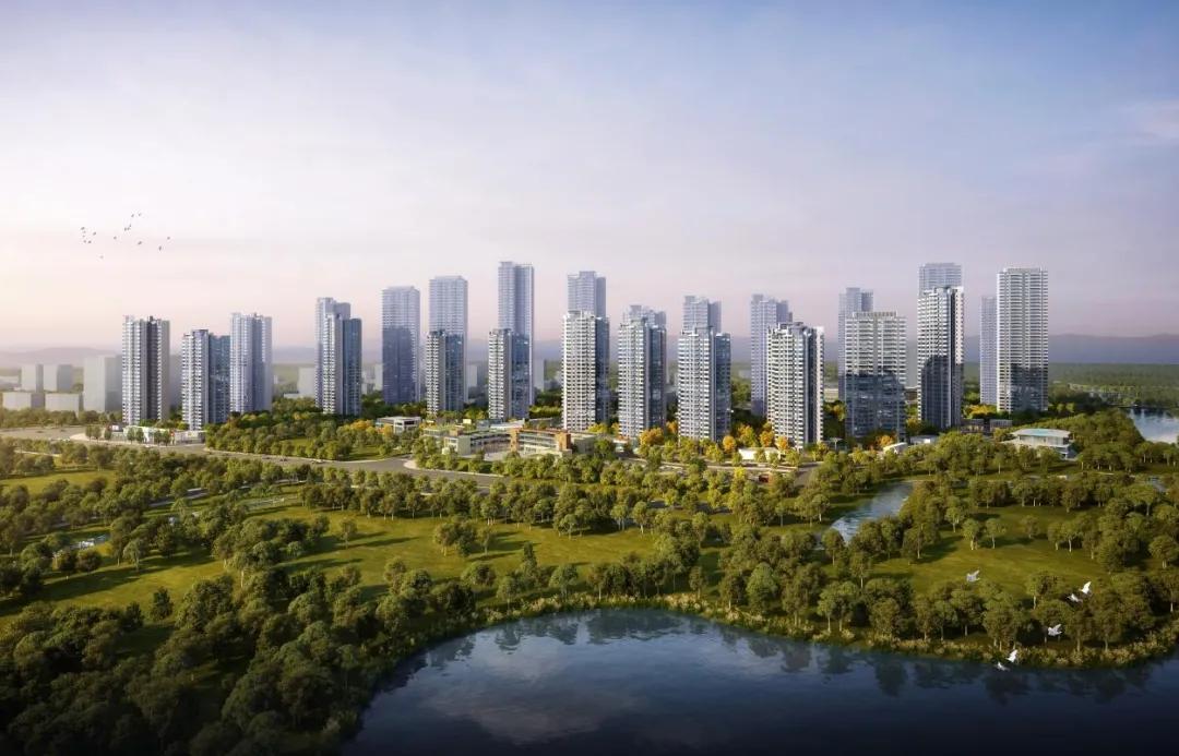 最新姐姐综艺节目,变化、学习与自信的力量闪耀荧屏