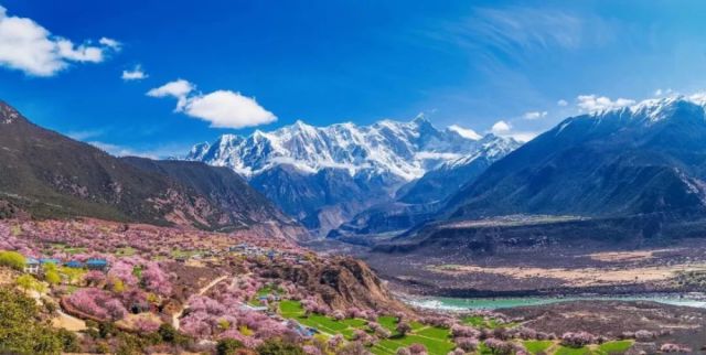 西藏林芝最新消息揭秘,探索之旅的详细步骤指南(适合初学者与进阶用户)