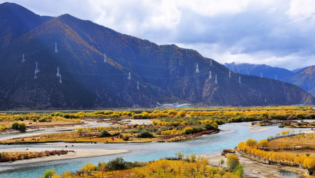 西藏林芝最新消息揭秘,探索之旅的详细步骤指南(适合初学者与进阶用户)