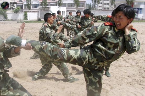 世界各国最新疫情概况