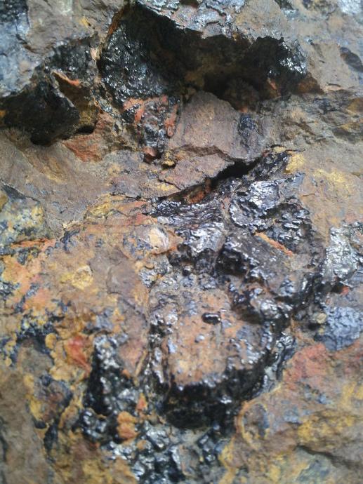 澳洲铁矿石最新动态,铁汉子的温情日常