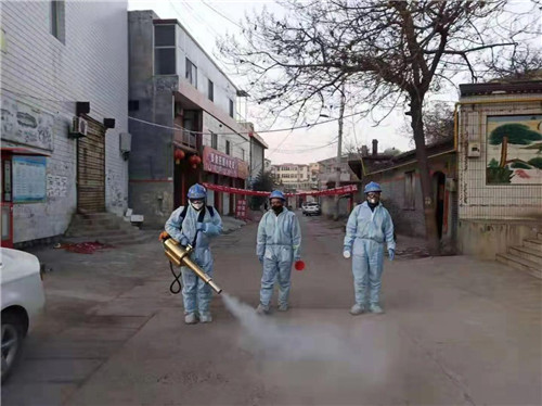 山西霍州疫情最新动态与自我疗愈的自然之旅,重拾内心宁静