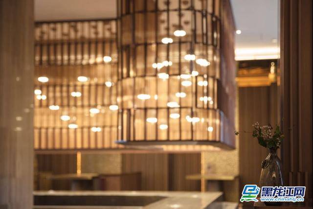 六星网床震最新,小巷深处的独特风情揭秘