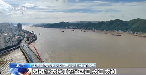 长江洪灾最新消息下的温馨日常观察与记录