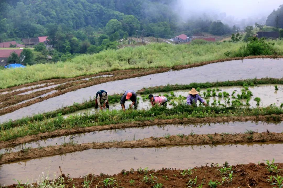 最新全国城市排名榜,启程探寻自然美景,寻觅内心宁静的旅行