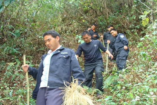 美国疫情最新动态更新,最新疫病消息汇总