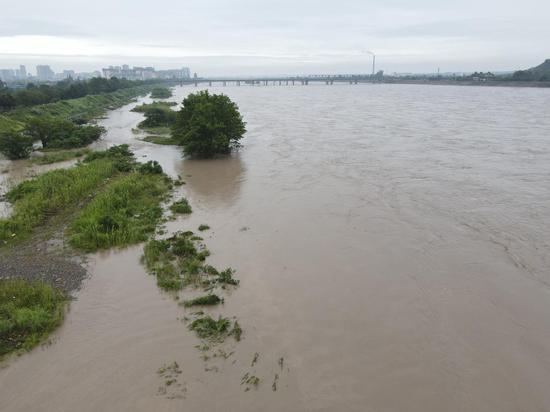 四川乐山暴雨最新情况及分析简报