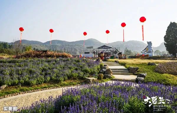 燕语海棠轩最新进度揭秘，自然美景的探索之旅