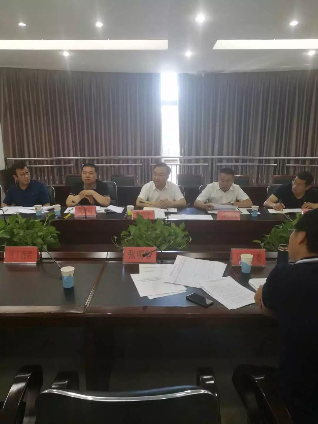 最新网络公司项目深度论述与探讨