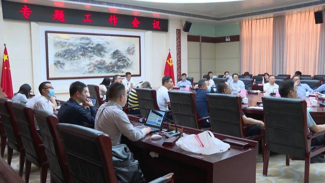 最新网络公司项目深度论述与探讨