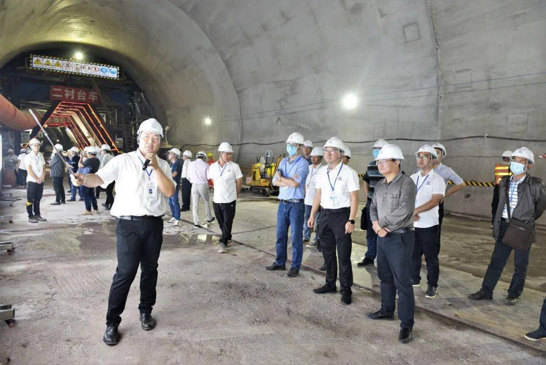 最新型号进展引领技术革新前沿动态