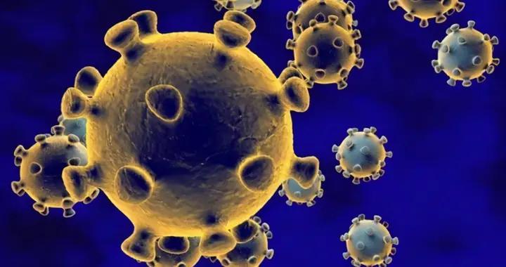 全球新冠肺炎最新实况下的温馨日常观察与记录