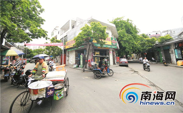 海南安居房最新动态,巷弄深处的独特小店成新焦点
