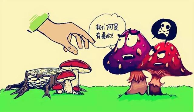 新冠状肺炎最新症状变化，挑战中的成长之路