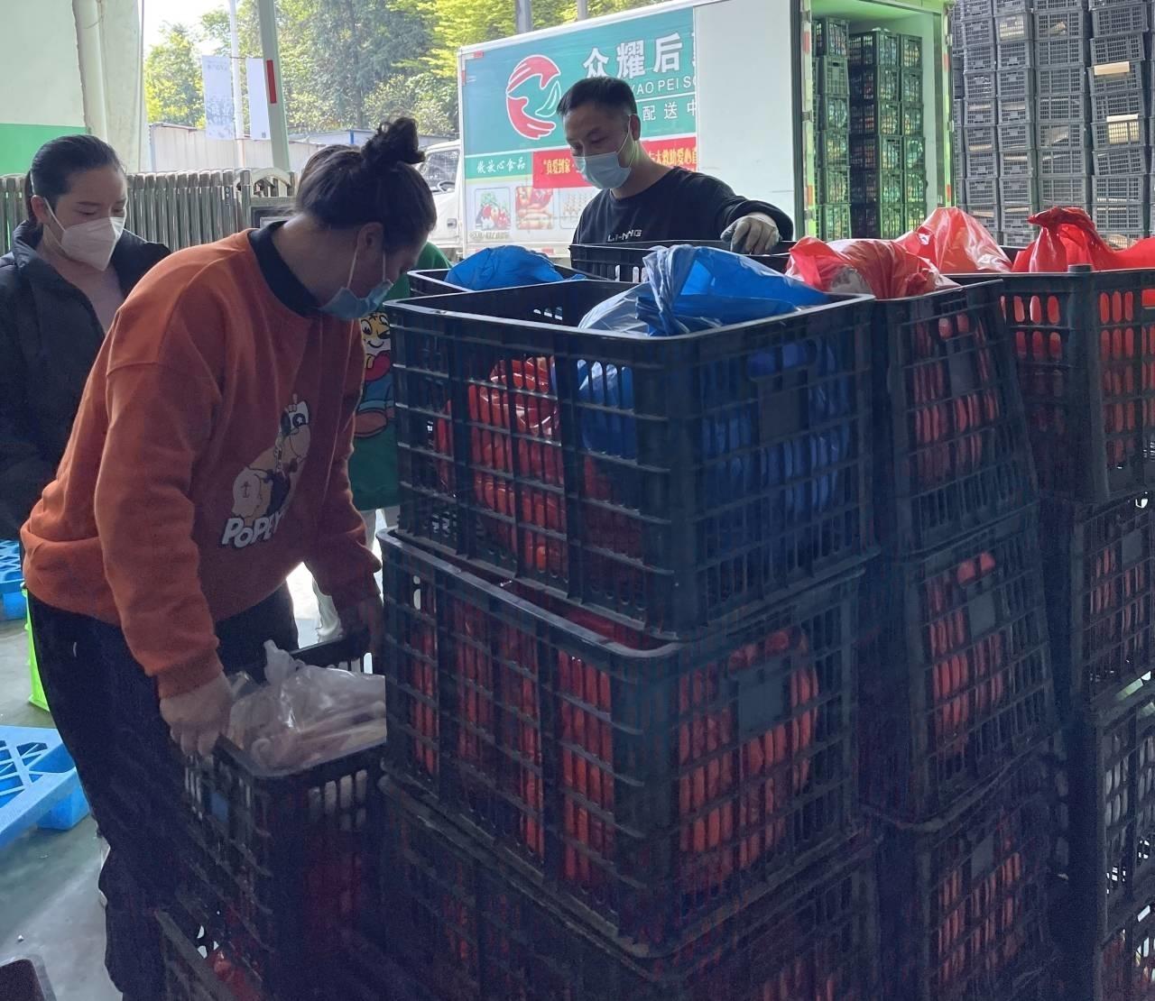 美国新冠病毒最新动态与巷弄中的隐秘宝藏