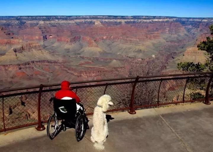 美国疫情最新动态,自然美景中的疗愈之旅