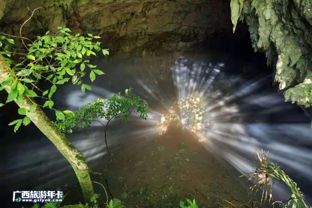 乐业隧道最新进展消息更新 🚇火热报道中🔥