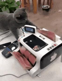 最新交通管制政策下的欢乐日常