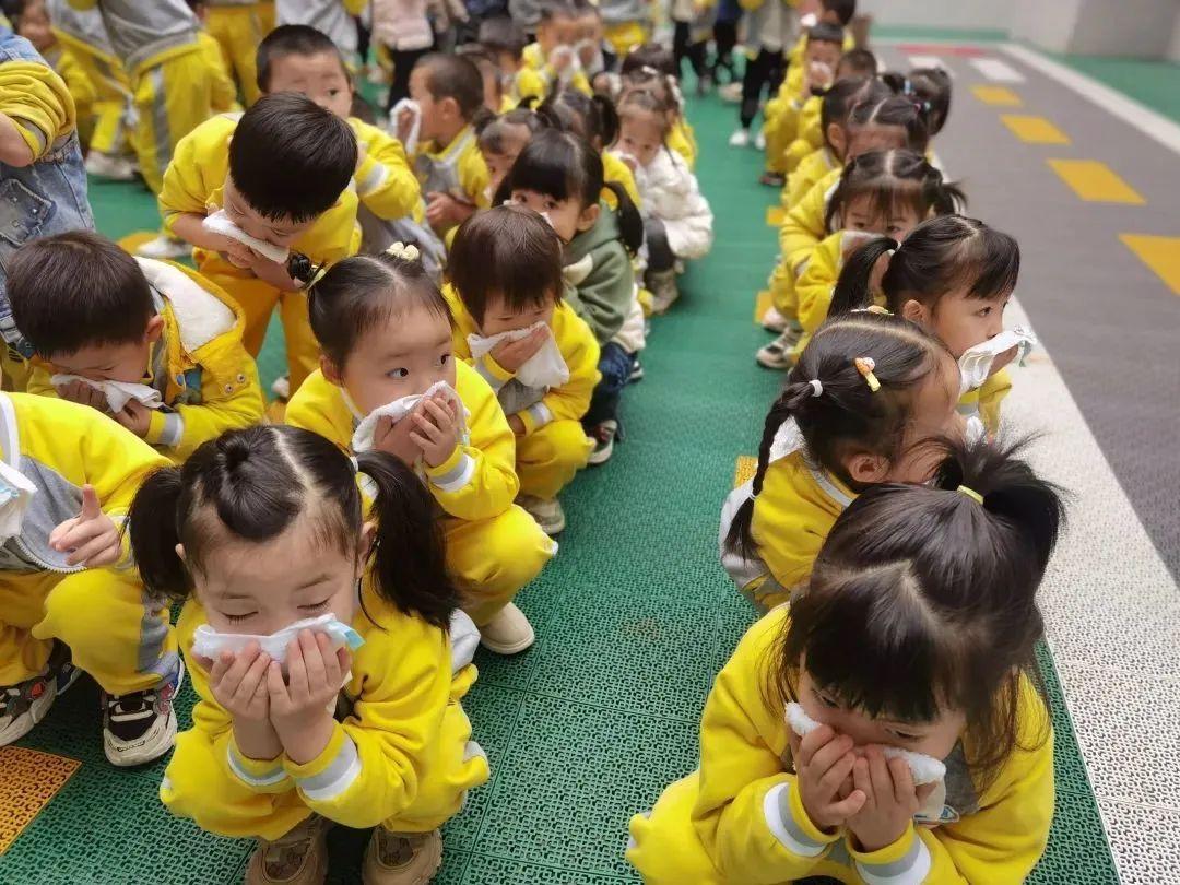 云南地震最新消息，科技守护生活，实时预警触手可及