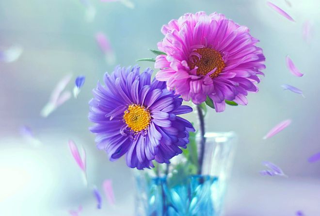 探索自然美景之旅,寻找内心的平和与最新花花资讯