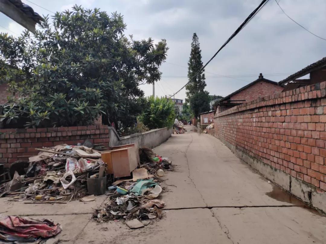 安徽淮南洪水最新动态，科技引领抗洪新时代