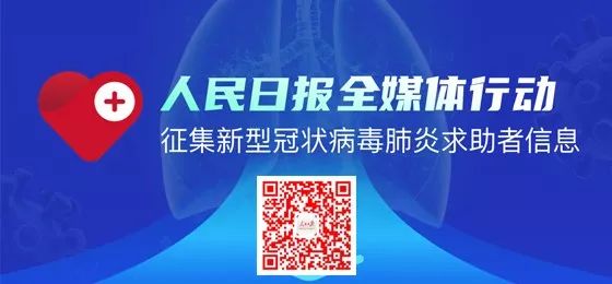利大利疫情最新动态，变化中的力量与学习带来的自信与成就感