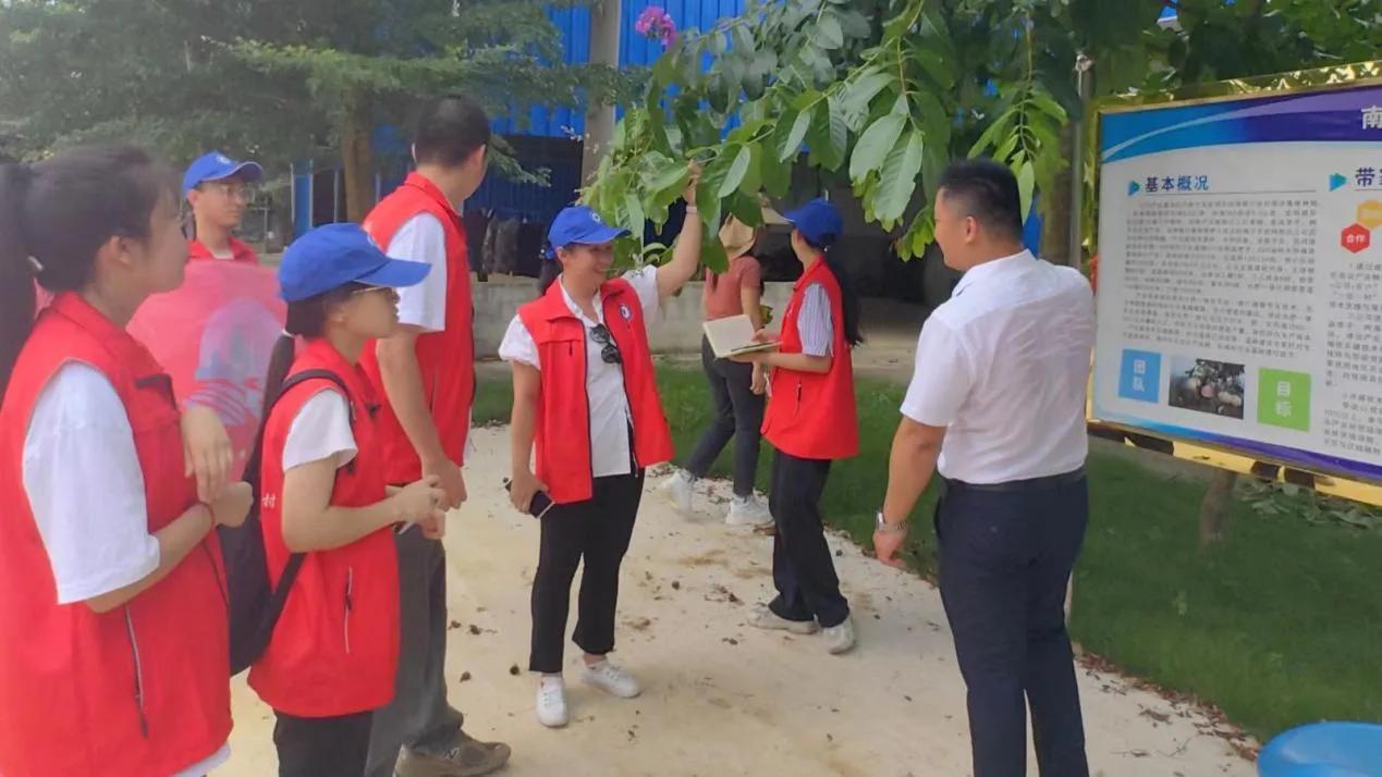 美好发展集团最新动态揭秘🌟