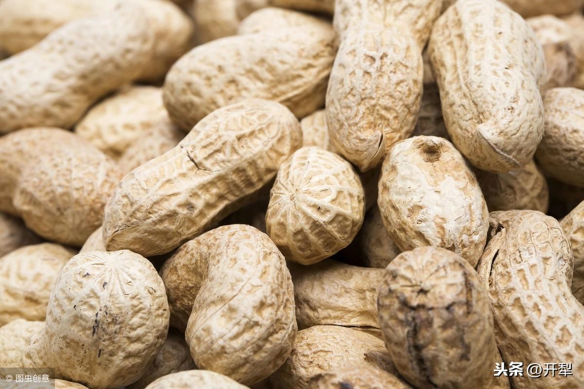 全国最新玉米价格发布,市场走势与多方观点深度探析