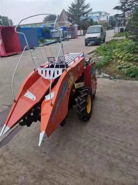 最新手扶玉米收割机,革新农业,助力高效收割!