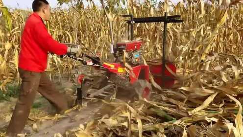 最新手扶玉米收割机,革新农业,助力高效收割!