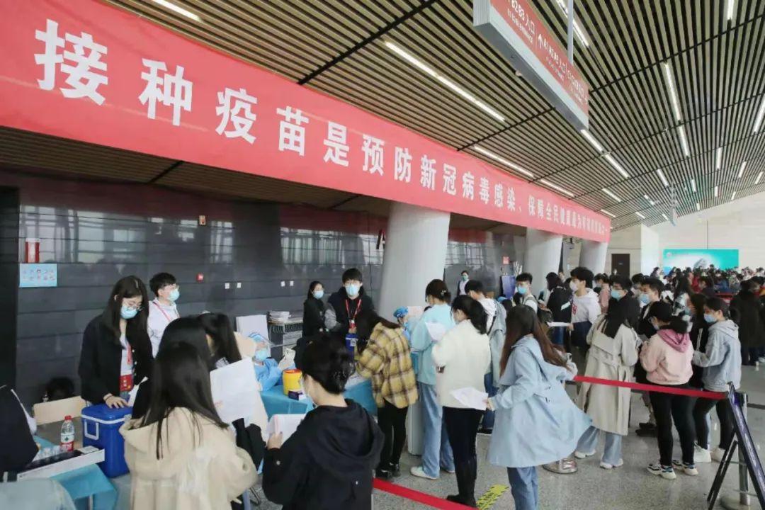 新冠病毒最新药物疫苗揭秘,疫苗研发进展与突破✨