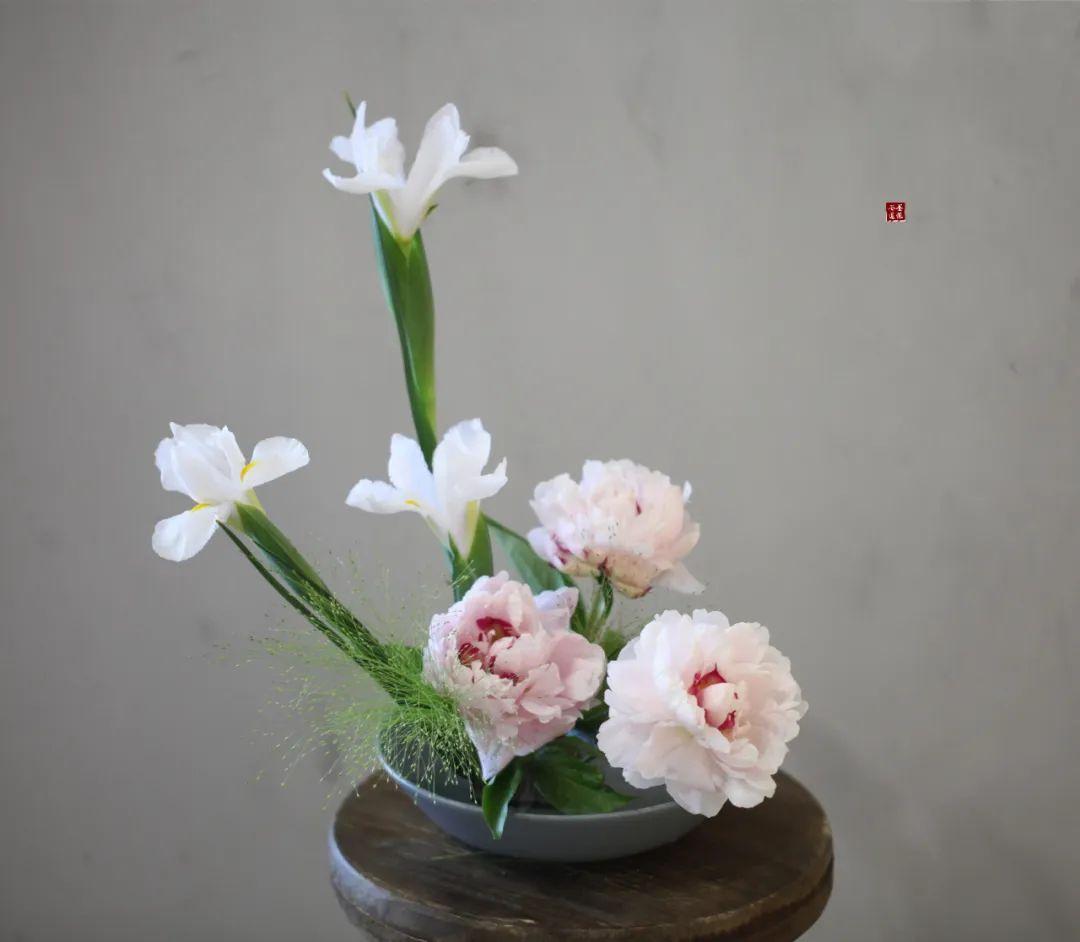 美疫情最新消息背后的温馨日常实拍