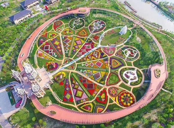 网球王子动漫最新话,科技革新引领未来网球生活体验