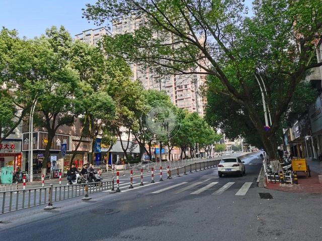 赣新大道最新动态,温馨旅程启程之际的更新消息