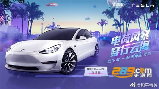 和平精英最新特斯拉CDKEY兑换码详解,获取与使用指南