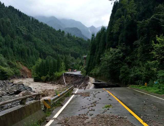 四川雅安降雨最新动态与小巷深处的绿色宝藏探索