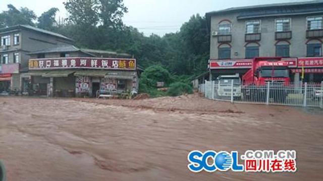 四川雅安降雨最新动态与小巷深处的绿色宝藏探索