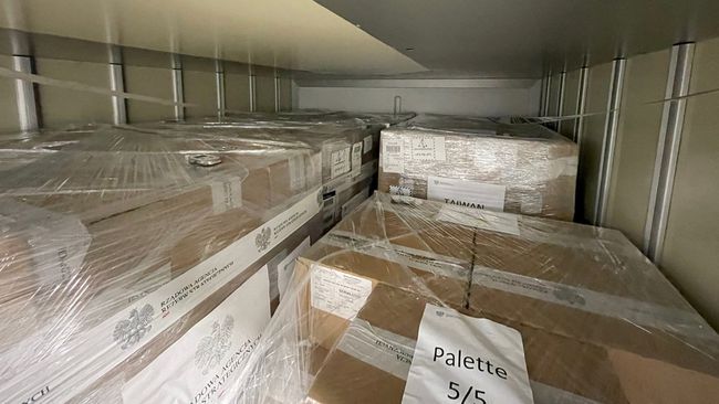 解放军东部战区最新动态解析及相关观点探讨