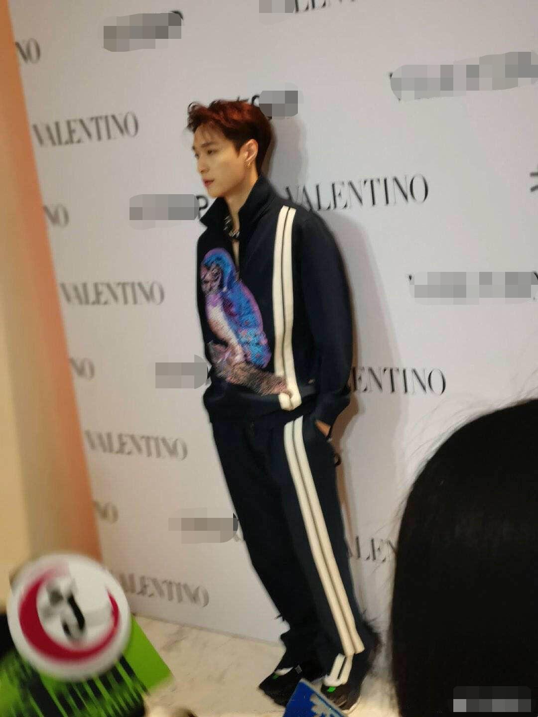 白鹿蔡徐坤友情日常揭秘,最新特别季独家报道